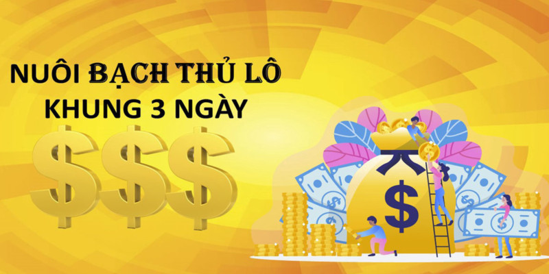 Cách Nuôi Lô Bạch Thủ Khung 3 Ngày Luôn Thắng