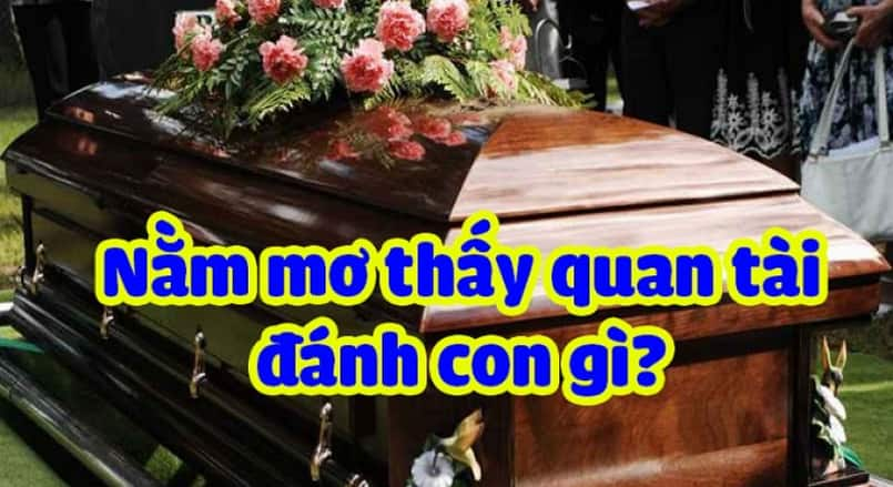 Nằm mơ quan tài đánh con gì? Mơ thấy quan tài điềm báo gì?