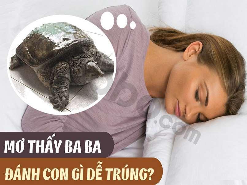 Mơ thấy ba ba đánh con gì? Giấc mơ báo điềm lành hay dữ